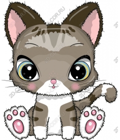  Cute cartoon cat