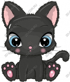  Cute black kitten