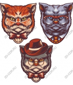  Dapper Feline Collection
