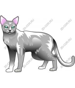 Silver Cat