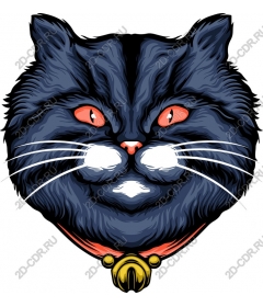 The Mysterious Cat