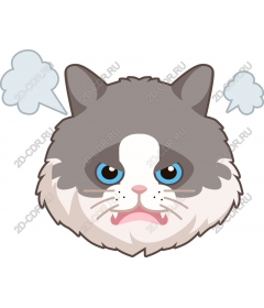  Face grumpy cat