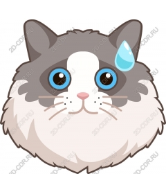  Fluffy cat face