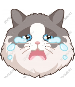  The Crying Cat