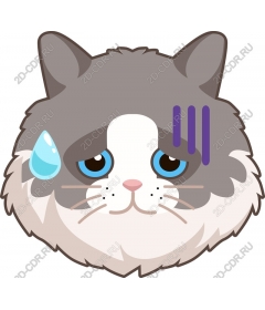  Грустный кот