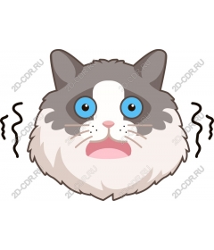  Charming surprised cat