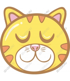  Cute cat face