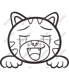  Crying cat face