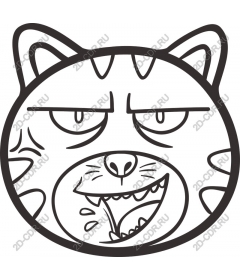  Angry cat face