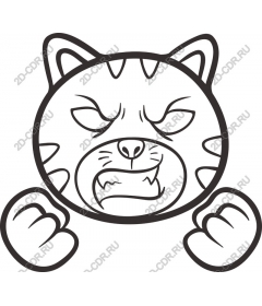  Angry Cat