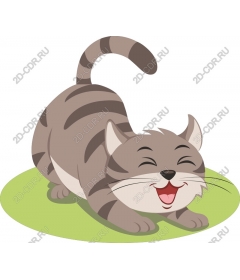 Playful happy cat