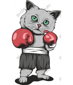 The Boxer Cat