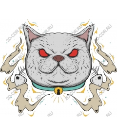  A ferocious red-eyed cat