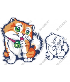  Charming cat duo