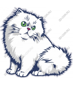  Fluffy white cat