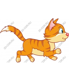  Charming orange cat