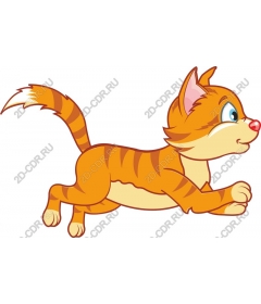Playful orange cat