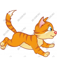  Игривый оранжевый кот