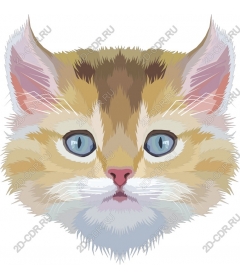  Charming cat face