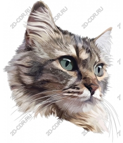 Очаровательная кошачья голова