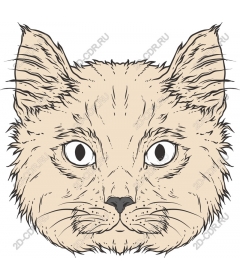  Fancy cat head