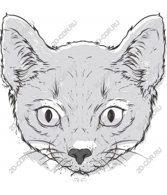  Элегантная кошачья мордашка