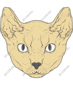 Feline Majesty: Detailed cat head