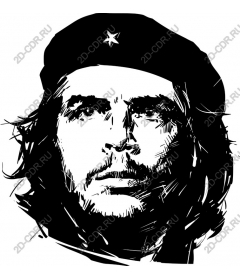 Portrait of a revolutionary icon