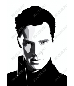  Elegant monochrome portrait