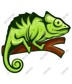  Bright chameleon