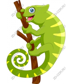  Charming Chameleon