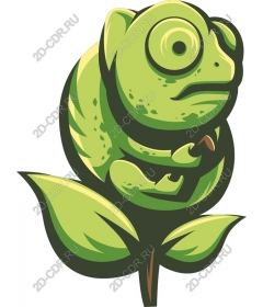  Chameleon Rose