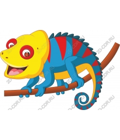  Charming Chameleon