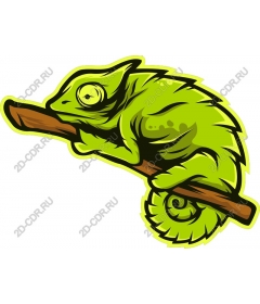  Bright chameleon