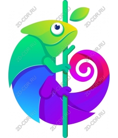  Colorful chameleon
