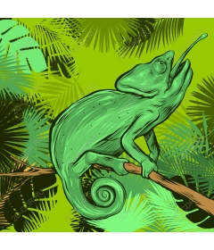  Chameleon in Paradise
