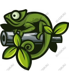  Chameleon