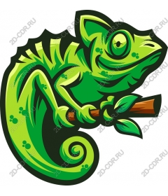  Bright chameleon