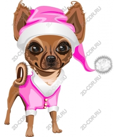  Charming holiday Chihuahua
