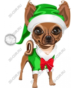  Charming holiday Chihuahua