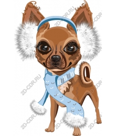  Adorable Chihuahua Winter