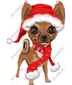  Christmas Chihuahua