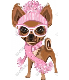  Elegant Chihuahua