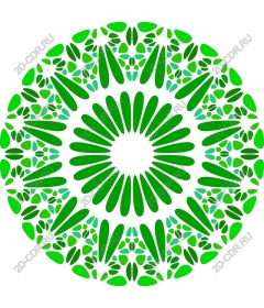 Exquisite mandala
