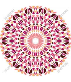  Bright floral mandala
