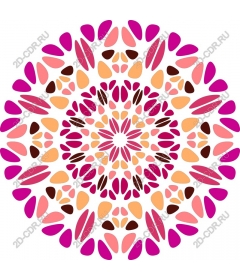  Bright floral mandala