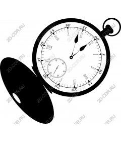 Vintage pocket watch