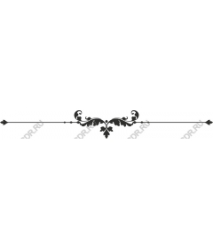  Elegant decorative border