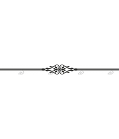 Elegant decorative border