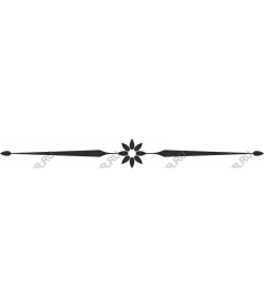  Elegant decorative element